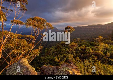 Majestätisches Nachmittagslicht in den Blue Mountains Stockfoto