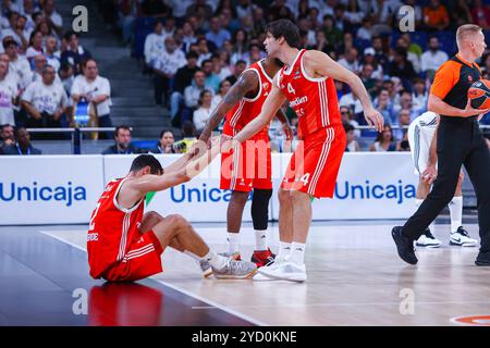 Madrid, Spanien. Oktober 2024. Oktober 2024; Wizink Center; Madrid, Spanien; Turkish Airlines Euroleague Basketball; Spanien, Real Madrid gegen Crvena Zvezda; Euroleague Basketball Real Madrid gegen Crvena Zvezda 900/Cordon PRESS Credit: CORDON PRESS/Alamy Live News Stockfoto