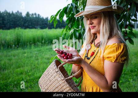 Farmerin bietet an einem warmen Frühlingstag frisch gepflückte rote Kirschen in offenen Händen mit Woven Basket an Stockfoto