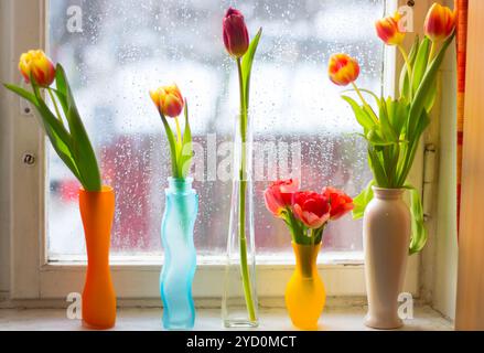 Vase mit Tulpen. Mehrere Vasen mit Tulpen. Helle Federkarte. Frauentag. Geschenk an das Mädchen. Vase mit Tulpen am Fenster Stockfoto