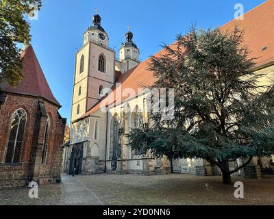 Die Stadtkirche Wittenberg in Lutherstadt Wittenberg Stockfoto