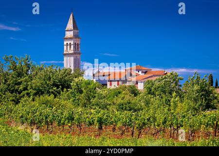 Stadt Vodnjan Turm und Blick auf die grüne Landschaft Stockfoto