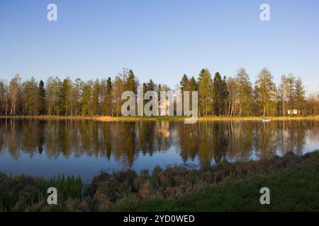 Sunny Spring Park urban. Wärmt im Park. Laub Blüten und das Gras ist grün. Russische Park. Mai. Stockfoto