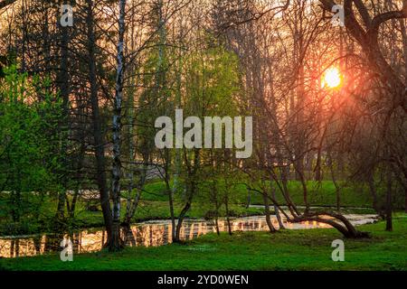 Sunny Spring Park urban. Wärmt im Park. Laub Blüten und das Gras ist grün. Russische Park. Mai. Stockfoto