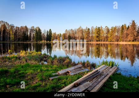 Sunny Spring Park urban. Wärmt im Park. Laub Blüten und das Gras ist grün. Russische Park. Mai. Stockfoto