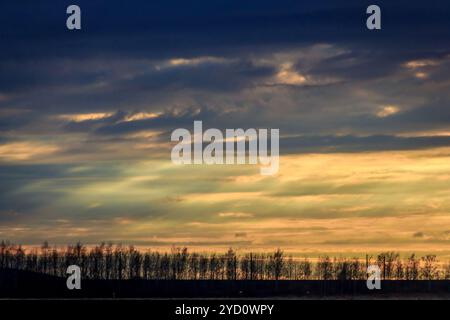 Sonnenuntergang am Abend in das Feld ein. Hintergrund der Sunset im Feld. Die Sonne ist. orange sky Stockfoto