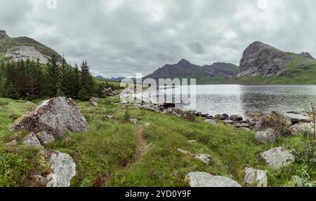 Ein malerischer Trekking-Pfad schlängelt sich durch üppige Graslandschaften und felsige Küsten neben einem ruhigen See auf den Lofoten-Inseln, umgeben von majestätischen Bergen auf A Stockfoto