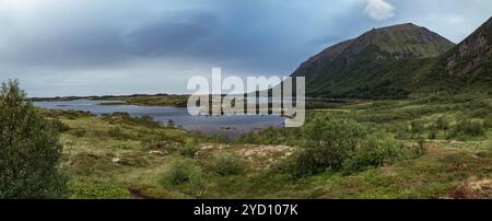 Eine atemberaubende Landschaft entfaltet sich auf den Lofoten Islands mit ruhigen Seen, umgeben von üppigem Grün und majestätischen Bergen unter einem bewölkten Himmel. Stockfoto