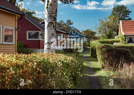 Farbenfrohe Cottages säumen einen friedlichen Weg in einem ruhigen Oslo Viertel, umgeben von üppigem Grün und hübsch geschnittenen Hecken unter klarem Himmel. Stockfoto