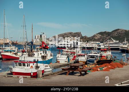 Bodo, Norwegen - 12. August 2018: Farbenfrohe Boote legten im Hafen von Bodo, Lofoten, an einem sonnigen Tag mit Bergen im Hintergrund an Stockfoto