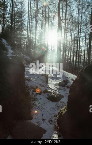 Das Sonnenlicht am frühen Morgen strömt durch die Bäume und beleuchtet den verschneiten Pfad entlang eines felsigen Baches. Der beschauliche Wald im schweizerischen Sachsen zeigt W Stockfoto