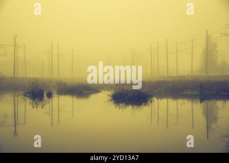 Nebel über dem Sumpf. Marschland. Nebel über dem Wasser. Stockfoto