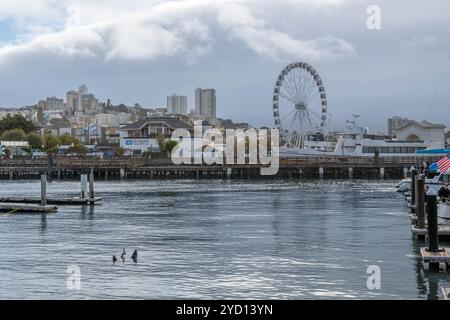 Flottenwoche in San Francisco, Kalifornien Stockfoto