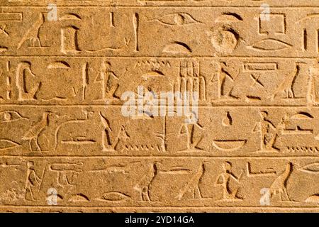 großen Sand Wand mit Fragment der alten ägyptischen Dokument Stockfoto