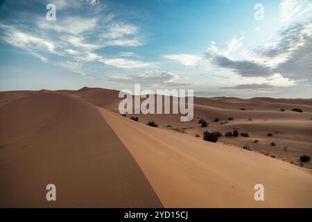 Diese atemberaubende Landschaft zeigt die weitläufigen Sanddünen der Sahara in Marokko, hervorgehoben durch das Zusammenspiel von Licht und Schatten unter einem Stockfoto