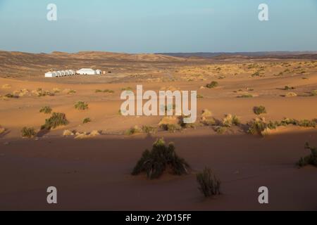 Während sich die Dämmerung über der Sahara in Marokko niederschlägt, erstrecken sich sanfte Schatten über goldene Sanddünen, die spärliche Vegetation und traditionelle weiße Te offenbaren Stockfoto