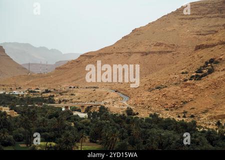 Eine kurvenreiche Straße schlängelt sich durch das zerklüftete Gelände der Badlands Marokkos und zeigt dramatische Steilhänge, reiche Vegetation und die zeitlose Schönheit von Stockfoto