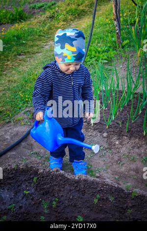 Ein kleiner Junge gießt Wasser aus der Gießkanne. Bewässerung der Betten. Gartenarbeit Stockfoto