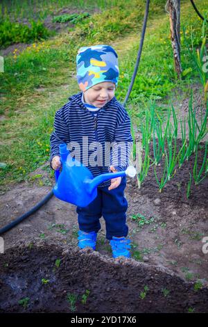 Ein kleiner Junge gießt Wasser aus der Gießkanne. Bewässerung der Betten. Gartenarbeit Stockfoto