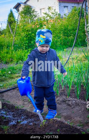 Ein kleiner Junge gießt Wasser aus der Gießkanne. Bewässerung der Betten. Gartenarbeit Stockfoto