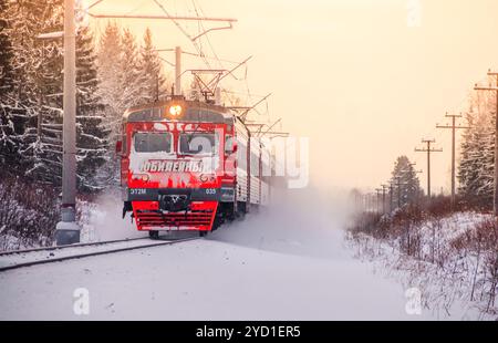 Russischer Zug im Winter. Der Zug fährt im Winter mit der Bahn in den Wäldern. Winterwald. . Russland Region Leningrad, Gatch Stockfoto