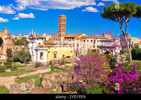 Panoramablick auf die Ruinen des Forum Romanum in Rom im Frühling Stockfoto