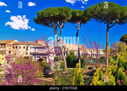 Panoramablick auf die Ruinen des Forums Romanum und das Kolosseum in Rom im Frühling Stockfoto