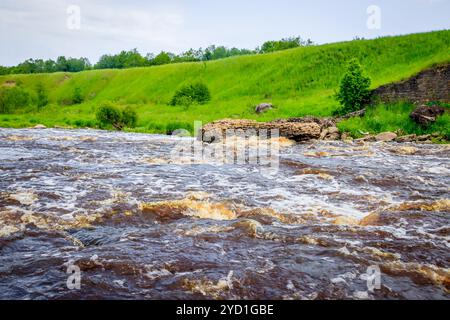 Sablinsky Wasserfälle. Kleiner Wasserfall. Das braune Wasser des Wasserfalls. Schwellen auf dem Fluss. Starker Wasserfluss. Düsen von W Stockfoto