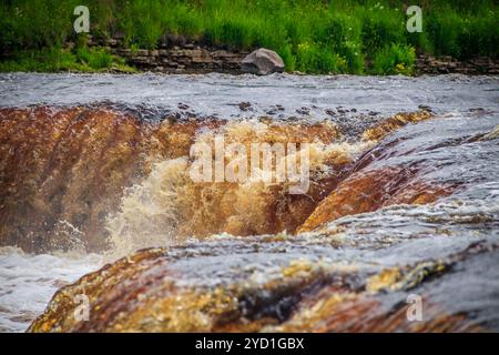 Sablinsky Wasserfälle. Kleiner Wasserfall. Das braune Wasser des Wasserfalls. Schwellen auf dem Fluss. Starker Wasserfluss. Düsen von W Stockfoto