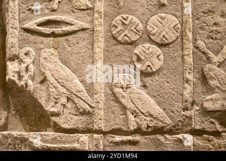 Bigwall-Fragment mit Schnitzereien von Vögel und Symbole aus dem alten Ägypten Stockfoto