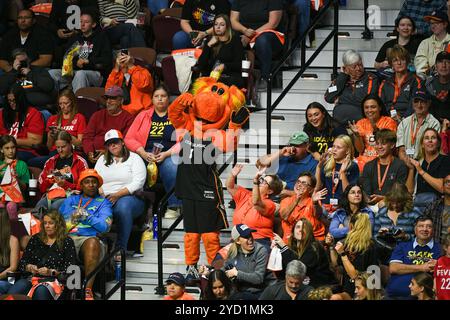 Uncasville, Connecticut, USA. September 2024. Blaze, das Maskottchen der Connecticut Sun, interagiert mit Fans während des ersten Spiels der WNBA-Playoffs zwischen dem Indiana Fever und der Connecticut Sun in der Mohegan Sun Arena in Uncasville, Connecticut. Erica Denhoff/CSM/Alamy Live News Stockfoto