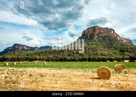 Heuballen auf Feldern im ländlichen Australien Stockfoto