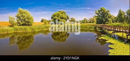 Kopacki Rit Marschen Naturpark Holzsteg Panoramablick Stockfoto