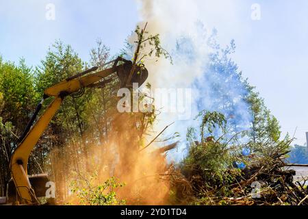 Zunächst werden Bäume bei der Baustellenvorbereitung entwurzelt, was Umweltprobleme verursacht. Stockfoto
