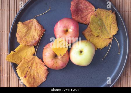 Teller mit Äpfeln. Herbstlayout. Obstäpfel. Herbstfoto. . Äpfel und Herbstblätter Stockfoto