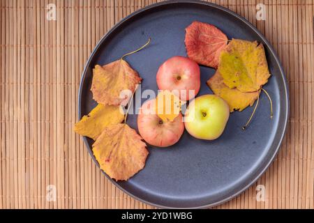 Teller mit Äpfeln. Herbstlayout. Obstäpfel. Herbstfoto. . Äpfel und Herbstblätter Stockfoto