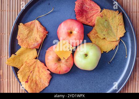 Teller mit Äpfeln. Herbstlayout. Obstäpfel. Herbstfoto. . Äpfel und Herbstblätter Stockfoto