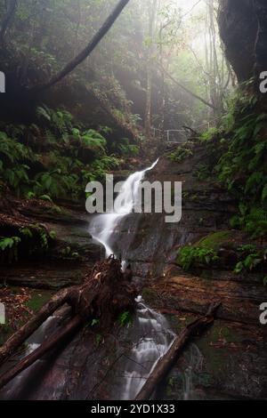 Gebirgsbach und Wasserfall in den Blue Mountains Stockfoto