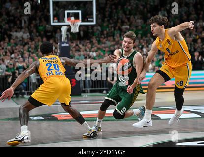 Kaunas, Litauen. Oktober 2024. Dovydas Giedraitis (C) von Zalgiris Kaunas fährt den Ball unter der Verteidigung von Levi Randolph (L) und Roman Sorkin (R) von Maccabi Playtika Tel Aviv während des regulären Saisonspiels der EuroLeague 2024/25 zwischen dem litauischen Zalgiris Kaunas und dem israelischen Maccabi Playtika Tel Aviv in Kaunas, Litauen, 24. Oktober 2024. Quelle: Alfredas Pliadis/Xinhua/Alamy Live News Stockfoto