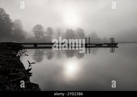 Moody am frühen Morgen Nebel am Straus Lake - Brevard, North Carolina, USA [Schwarzweißbild] Stockfoto