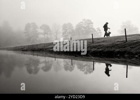 Frau, die ihren Hund im frühen Morgennebel am Straus Lake - Brevard, North Carolina, USA [Schwarzweißbild] Stockfoto