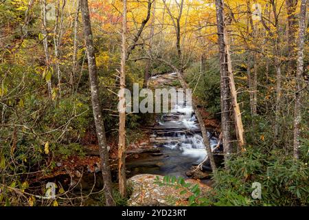 Cascade on Looking Glass Creek im Herbst – Pisgah National Forest, nahe Brevard, North Carolina, USA Stockfoto