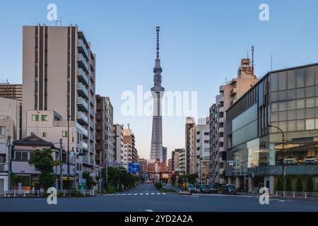 Straßenblick auf die Stadt Sumida in der Nähe der Komagata Bashi Brücke in Tokio, Japan Stockfoto