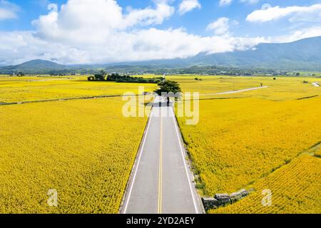 Herrlicher Blick auf die Gemeinde Chishang in Taitung, Taiwan während der Erntezeit Stockfoto