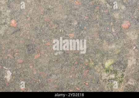 Altes Beton Erdgeschoss mit etwas Moos. Abstrakter Grunge-Texturhintergrund des verwitterten Bodens mit grünem Moos auf Gipsoberfläche. Stockfoto