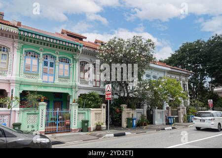 Bäume, Pflanzen, Peranakan-Häuser in Singapur, Katong-Joo Chiat, Koon Seng Road, Stockfoto