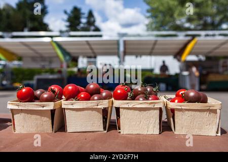 Kirschtomaten zum Verkauf in kleinen Körben auf dem Bauernmarkt Stockfoto