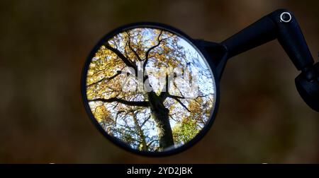 Ein runder Spiegel, der wahrscheinlich an einem Fahrrad befestigt ist, reflektiert ein lebendiges, herbstliches Baumdach vor einem verschwommenen Hintergrund. Der niedrige Winkel bietet eine einzigartige Stockfoto