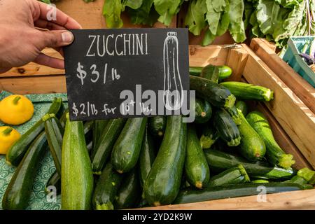 Handschriftliche Tafel mit dem Preis für leuchtend grüne Zucchini auf dem Bauernmarkt. Frische und echte echte Speisen aus der Landschaft. Stockfoto