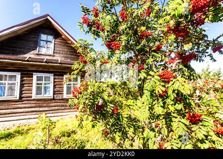 Ländliches Holzhaus im russischen Dorf Stockfoto